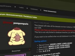 Owner of Breach Forums Pompompurin in New York
