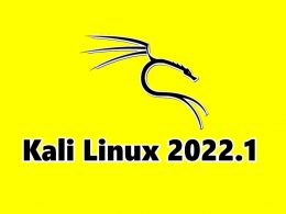 Download Kali Linux 2022.1 with new tools and wider SSH compatibility